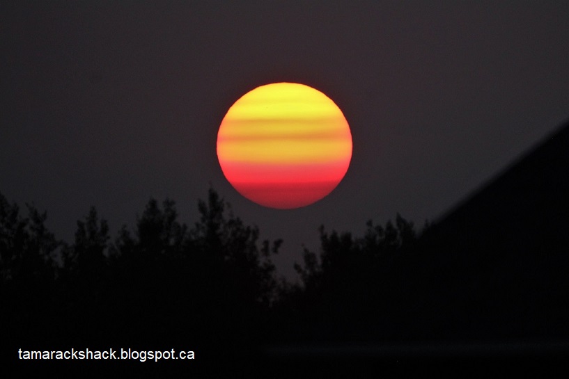 Tamarack Shack Washboard Road Quilt in Stiletto