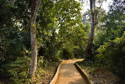 Beautiful Satchari national park tour guide 2021 7 Satchari National Park habiganj