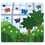 温室植物園のイラスト（蝶）