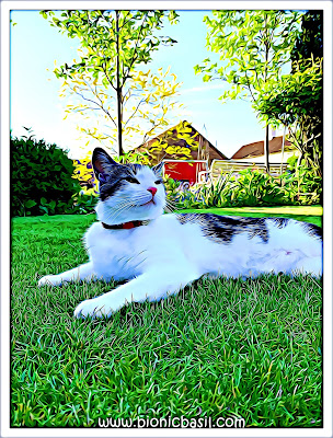 Melvyn's Outdoor Expedition at BBHQ @BionicBasil® Puzzle Melvyn's Outdoor Expedition at BBHQ @BionicBasil® Puzzle