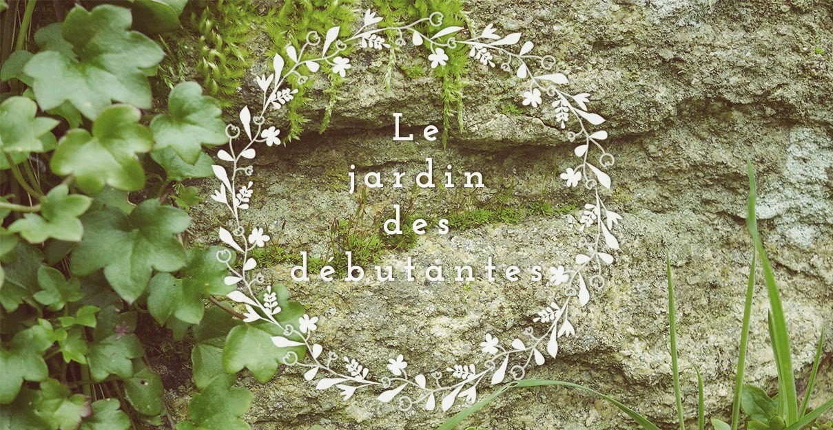 Le jardin des débutantes