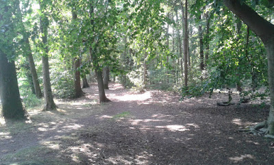 Zwei Linden vor dem Haus Ein paar Fotos von "Sibirien" in Elmshorn