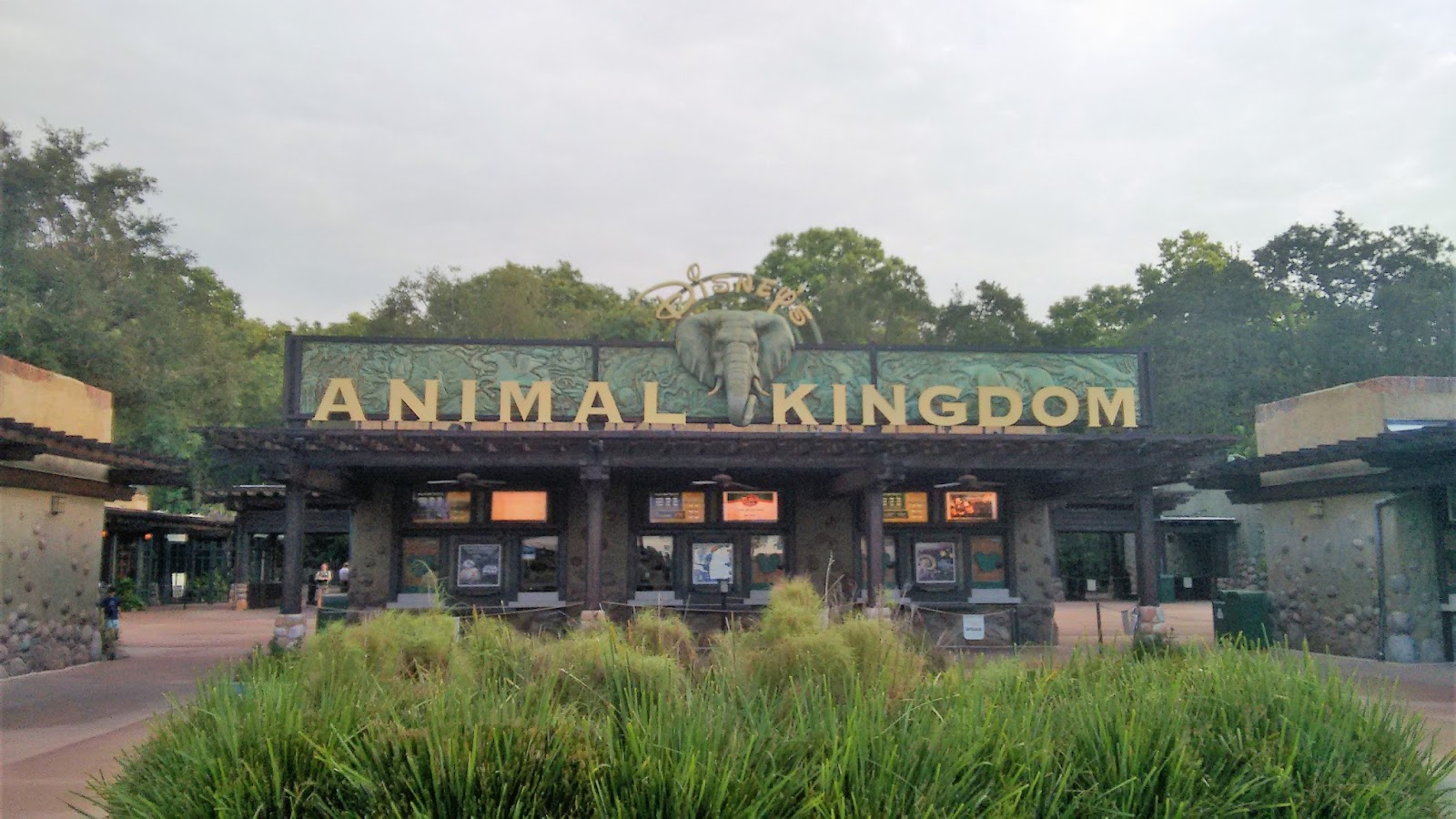 Disney's Animal Kingdom: Com Tico e Teco., Disney's Animal …