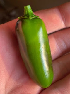 Jalapeño