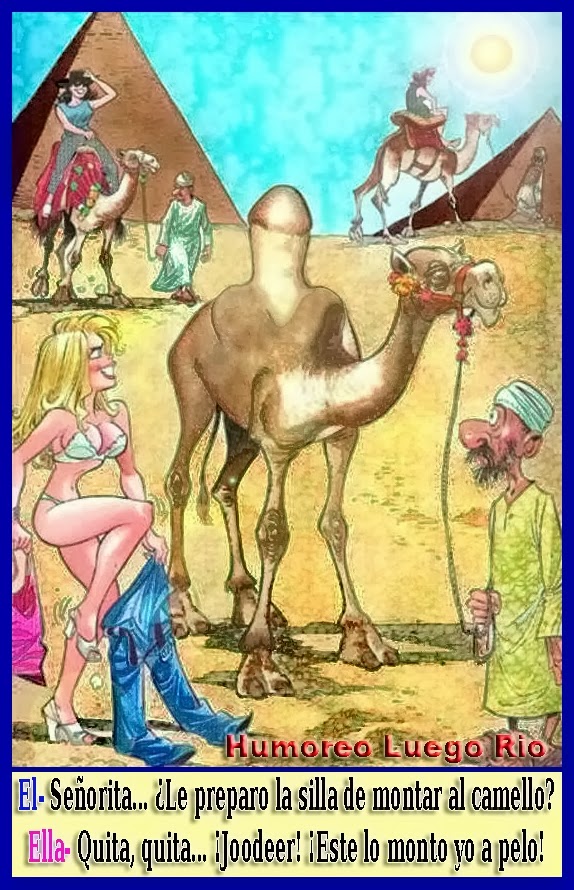 zoofilia+con+un+camello