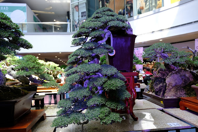 Bantigue bonsai cascade