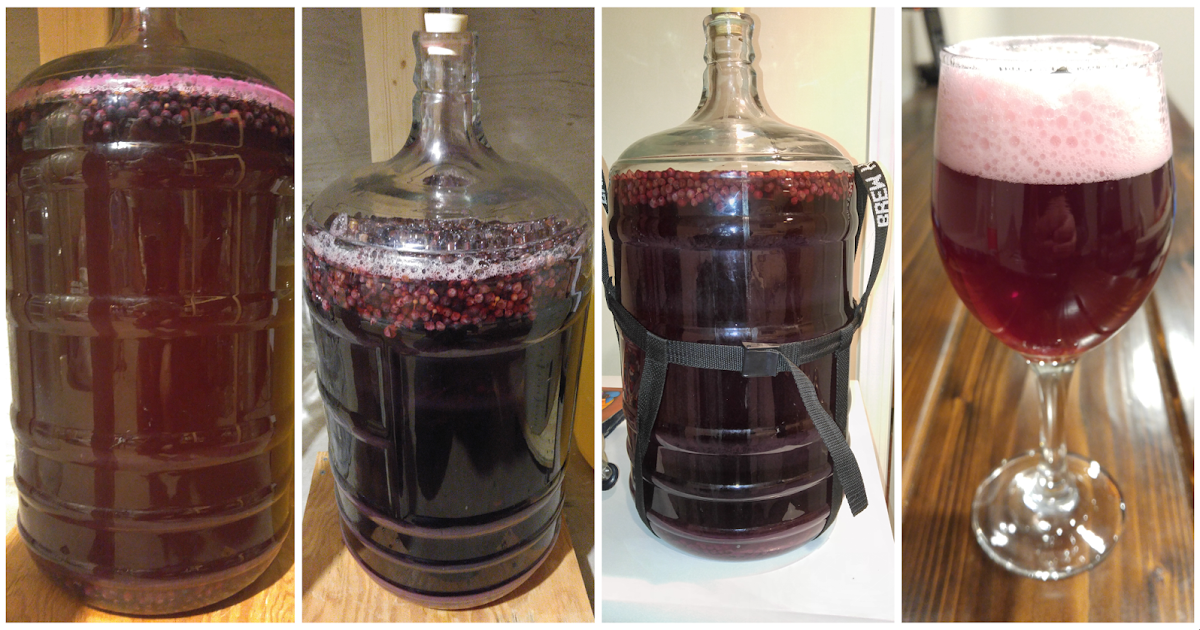 Sui Generis Brewing The Power of Staged Fermentation Sour Grapes