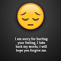 Sorry Attitude