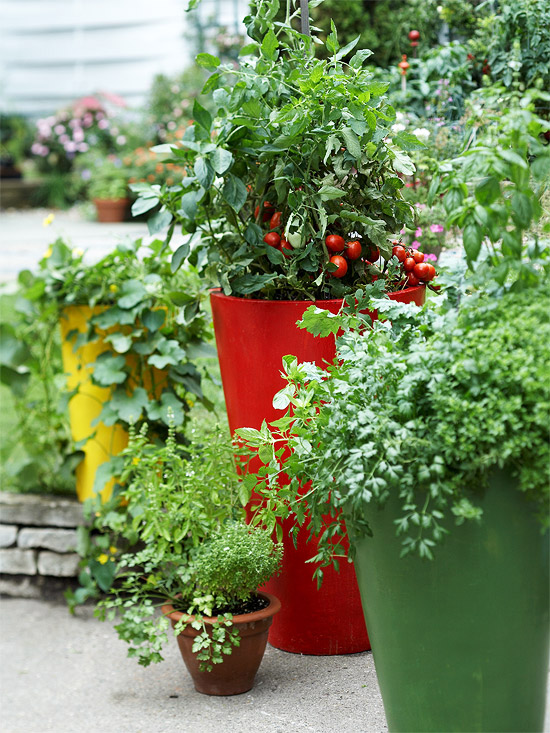 Growing Vegetables in Containers : Stagger Height
