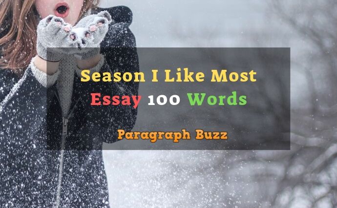 essay on the season i like most