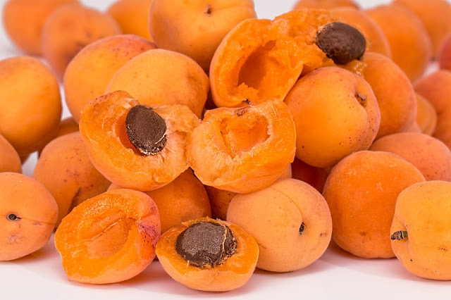 Can Dogs Eat Apricots? Is it safe for dogs to eat dried apricots?