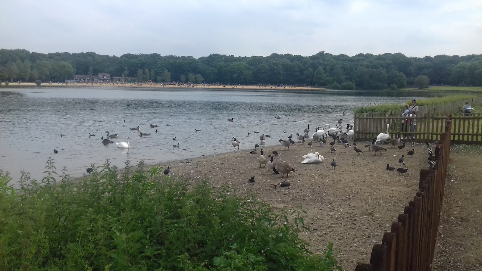Ruislip Lido 2017...