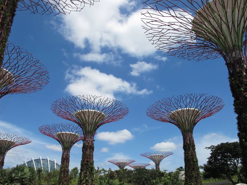 The Supertrees of Singapore ~ Kuriositas