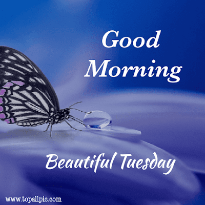 good morning tuesday images good morning tuesday images