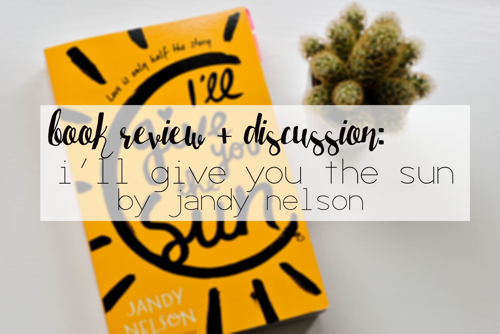 Two Sisters Bloggin Book Review Discussion I ll Give You The