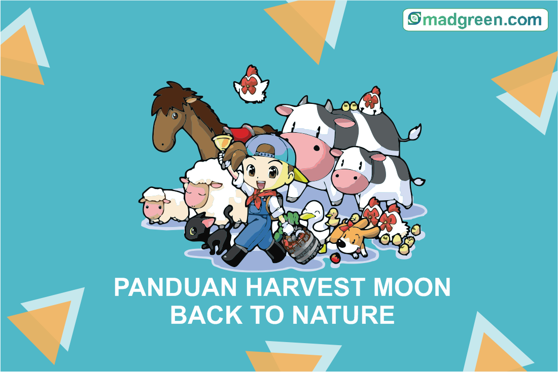 Tips dan Panduan Harvest Moon Back To Nature 2021 Smadgreen