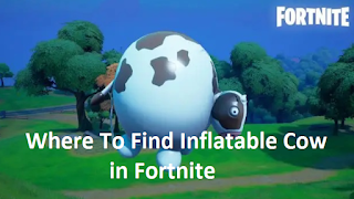 Where to find the Inflatable Vaquitas in Fortnite and how to use them