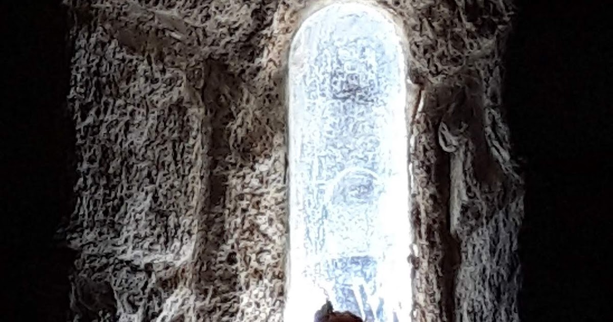 Download Tractaments de la finestra vida a la costa For iPhone Tractaments De La Finestra Vida A La Costa