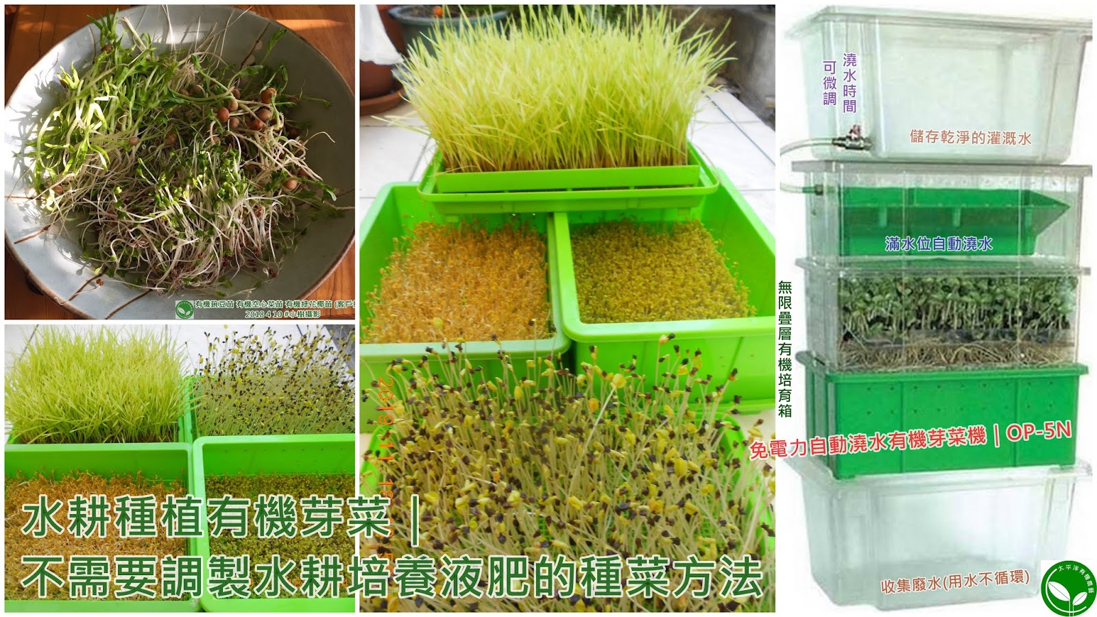 ºØ¤l¤£µoªÞ,¤ô¯ÑºØ´Ó,ªÞµæ«O¦sªk,¤ô¯Ñ½µæºØ´Ó¤èªk±Ð¾Ç,¦p¦ó¹å¨§ªÞ,«ç»òºØ¨§ªÞµæ,¹å¨§ªÞ,ªÞµæ,¦Û¤v¹å¨§ªÞ,¨§ªÞ