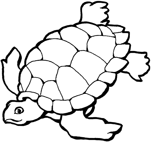 ocean animal coloring pages for preschool - photo #23