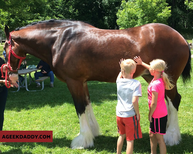 A GEEK DADDY FUN FACTS ABOUT CLYDESDALES