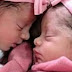 BAHIA: Recém-nascidas gêmeas são mortas por cachorro da família
