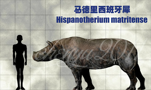 Hispanotherium