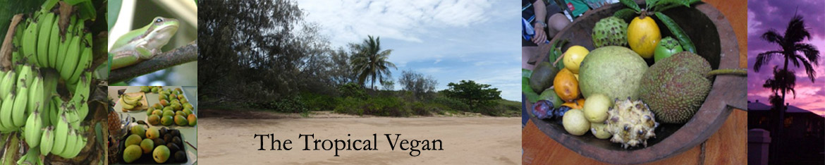 the tropical vegan