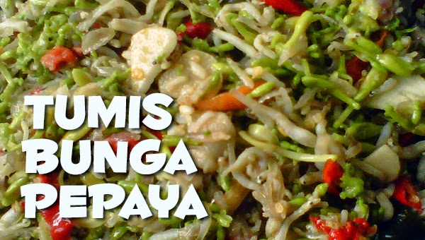 Resep Masakan Praktis Rumahan Indonesia Sederhana Resep 