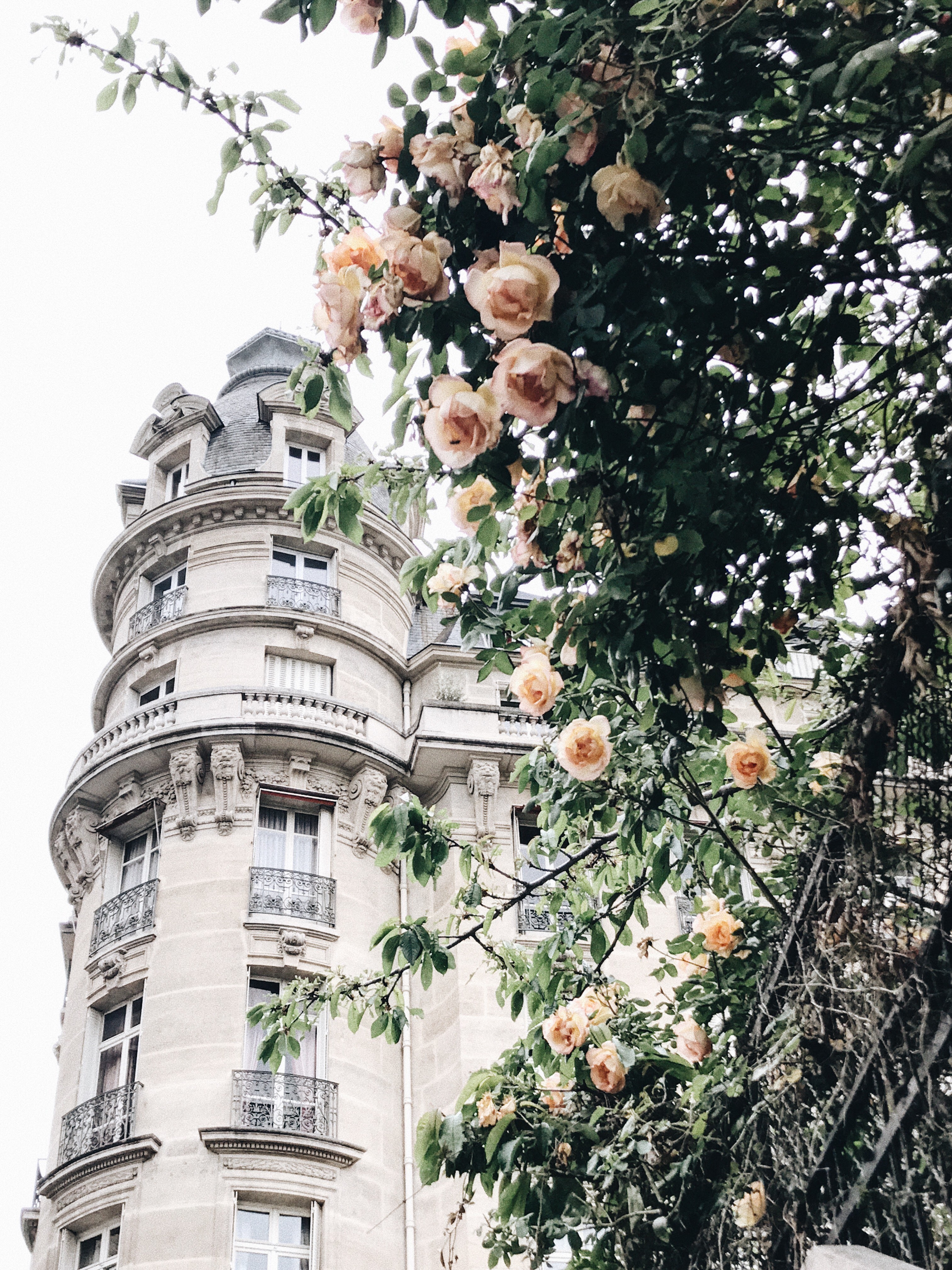 Weekday Wanderlust: A Summer Day in Paris