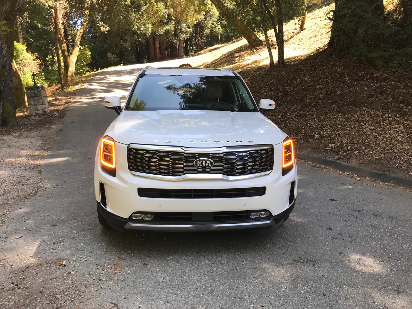 30 Minutes With The 2020 Kia Telluride SX V6 AWD
