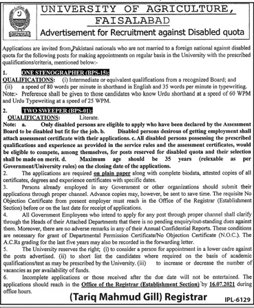 Jobs for disabled person