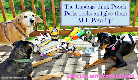The Lapdogs think #PoochPerks rocks and give them ALL PAWS UP! #subscriptionbox #rescuedog #adoptdontshop #dogs #LapdogCreations ©LapdogCreations