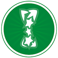  [Reglas] Copa Fundación Tornado XV - USA 2020 Logo-CFT