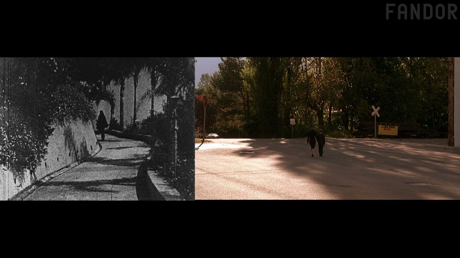 Twin peaks fire walk with me essay