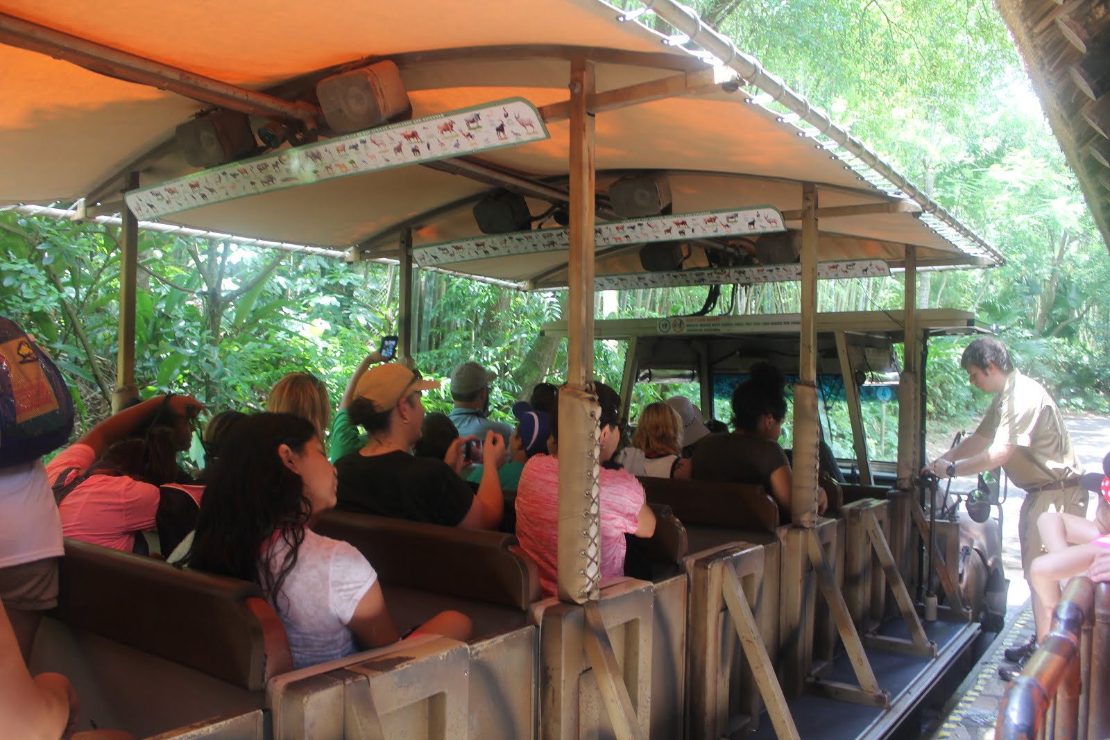 Stay, Stray, Play and Feast: Walt Disney World’s Animal Kingdom