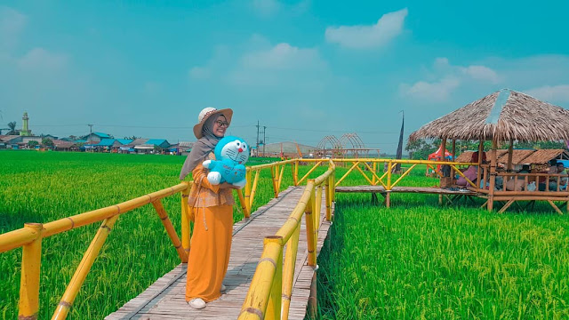 Lokasi Dan Tiket Masuk Wisata Sawah Pematang Johar Sumatera Utara Wisatainfo