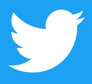 Twitter_Logoインフルエンサー