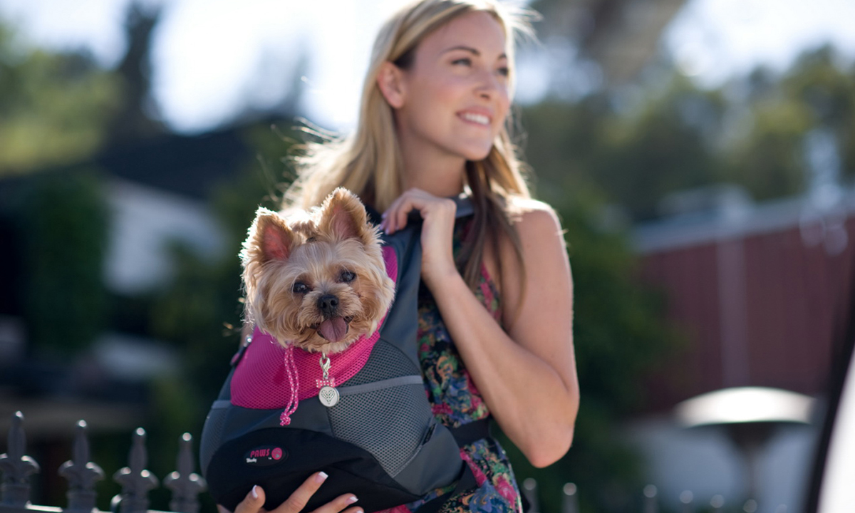 Dog Carrier Backpacks: Must-Have or Fad? | Australian Dog Lover