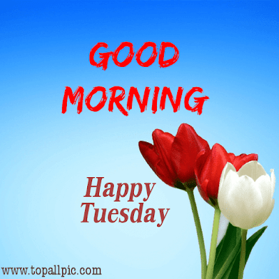 good morning tuesday images good morning tuesday images
