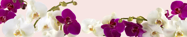  Скинали орхидеи на розовом