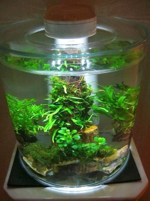 A NIGHT BY THE AQUARIUM Marina 360 Aquarium