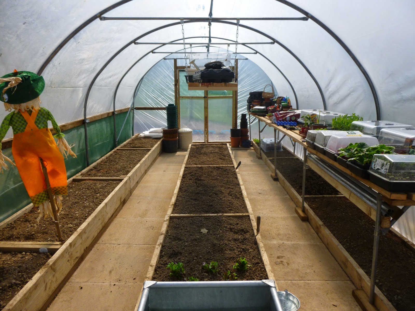 Our New Life in the Country Polytunnel Views, Planting. and Live
