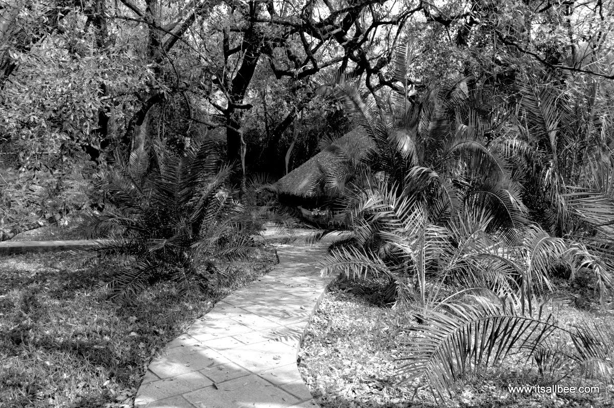 Tongabezi - Luxury on the Zambezi - Victoria Falls Tongabezi - Luxury on the Zambezi - Victoria Falls