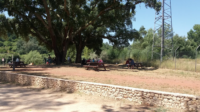 Parque de Pic Nic Parque de Pic Nic