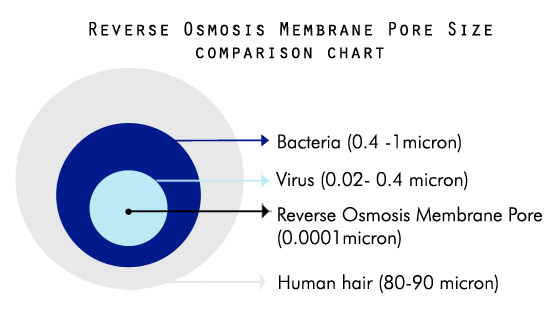 Reverse Osmosis Membrane Pore Size
