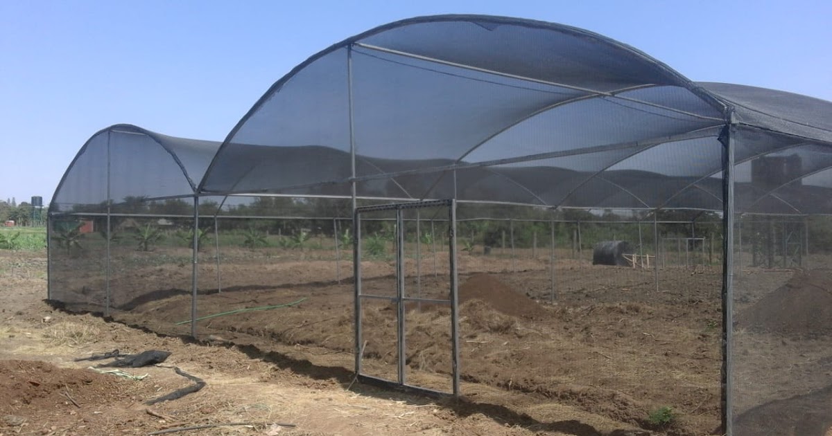 Greenhouse Kenya company[+254723053026]