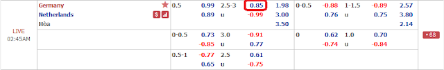 Tip bóng đá Đức vs Hà Lan (VL EURO - 01h45 ngày 7/9) Duc