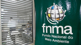 Conama derruba resoluções que restringiam o desmatamento em manguezais e restingas Conama derruba resoluções que restringiam o desmatamento em manguezais e restingas