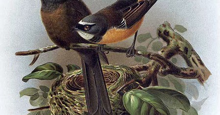 I Don't Remember That Move patupaiarehe